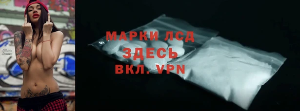 стаф Карпинск