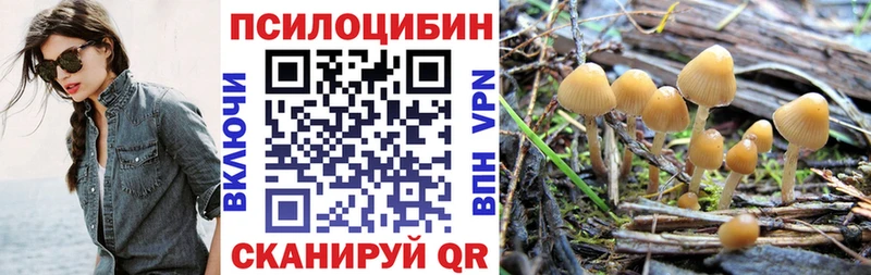 как найти наркотики  Черняховск  shop как зайти  Псилоцибиновые грибы ЛСД 